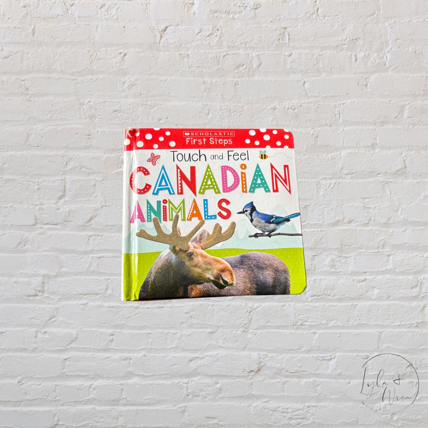 Touch and Feel Canadian Animals | Board Book