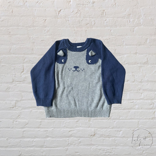 Carter’s Pullover Knit Sweater | 18 M