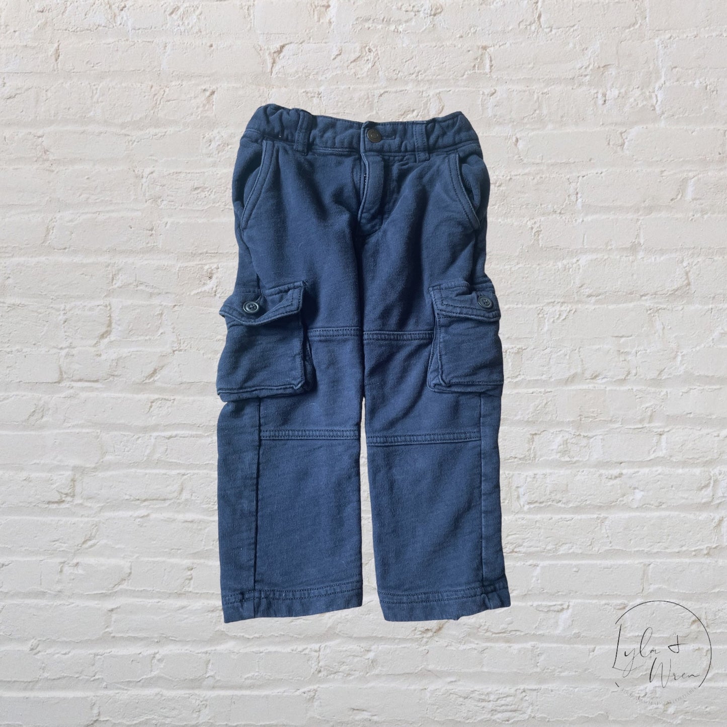 Gap Pants | 2