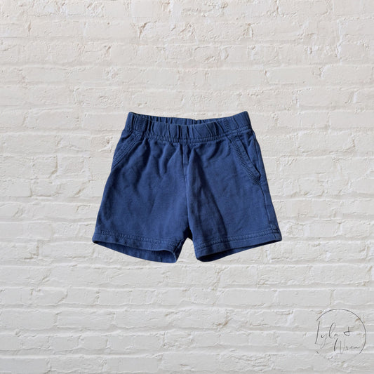 Carter’s Blue Shorts | 12 M