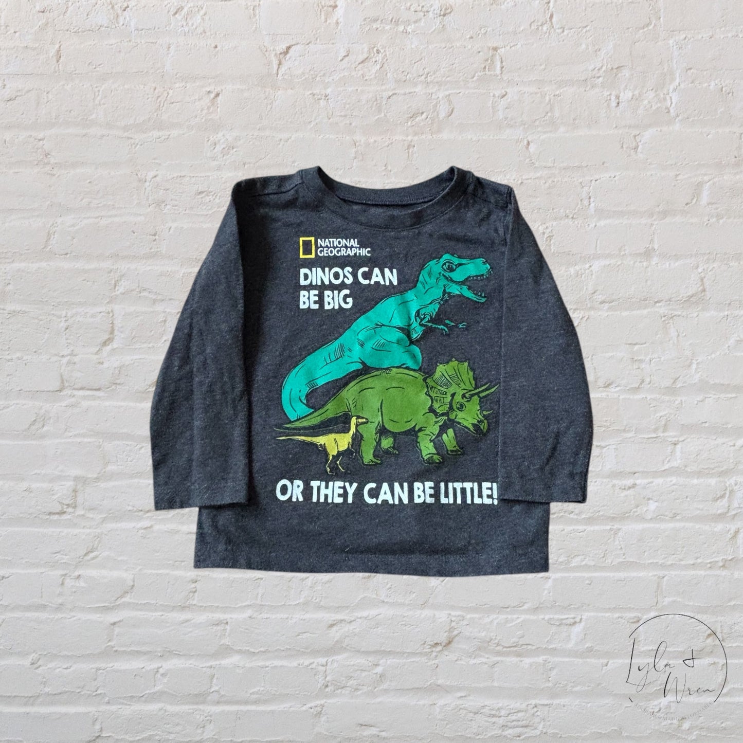 Old Navy National Geographic Dinosaur Shirt | 12-18 M