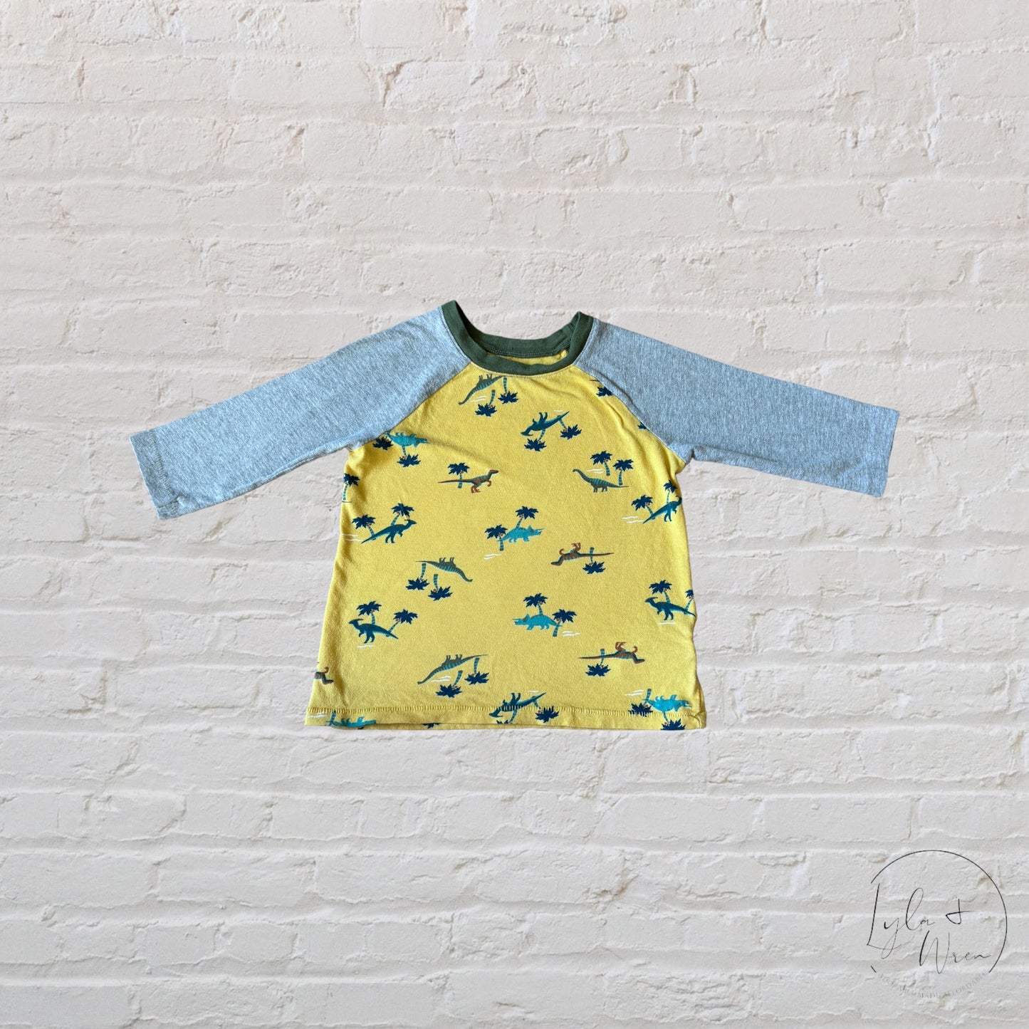 Old Navy Dinosaur Long Sleeve | 4T