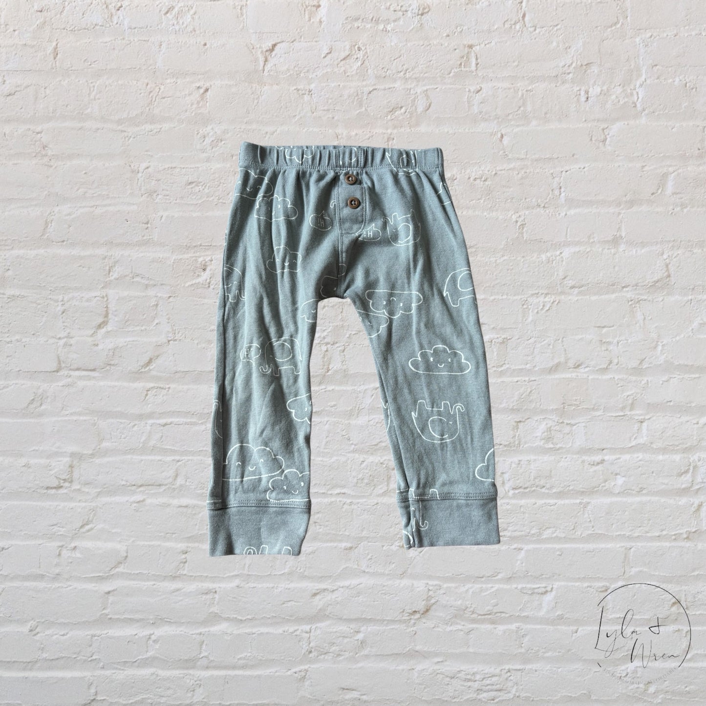 Carter’s Printed Joggers | 18 M