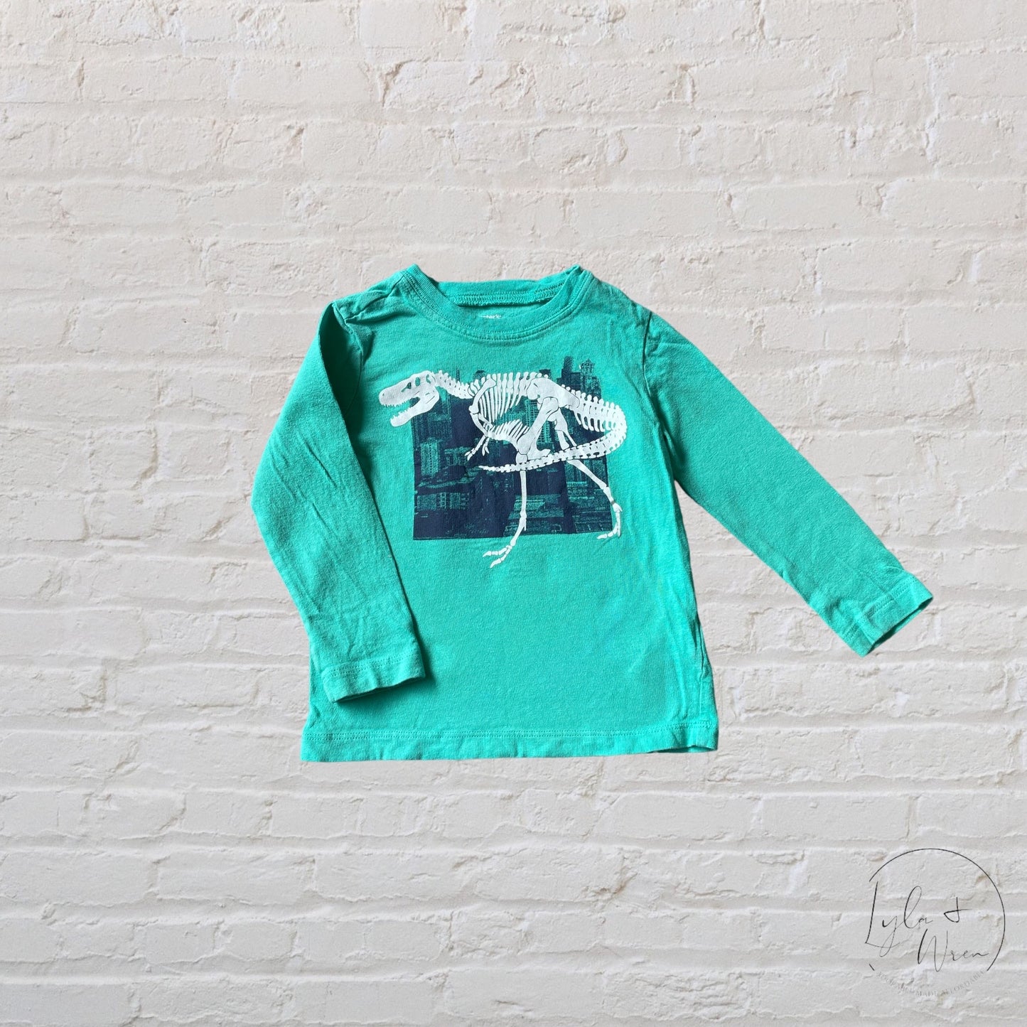 Carter's Dinosaur Fossil Shirt | 24 M