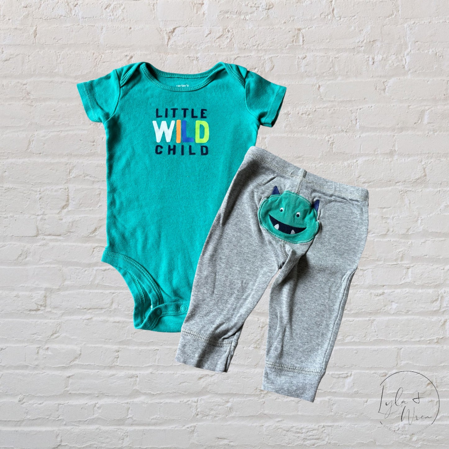 Carter’s 2 Piece “little wild child” Outfit Set | 6 M