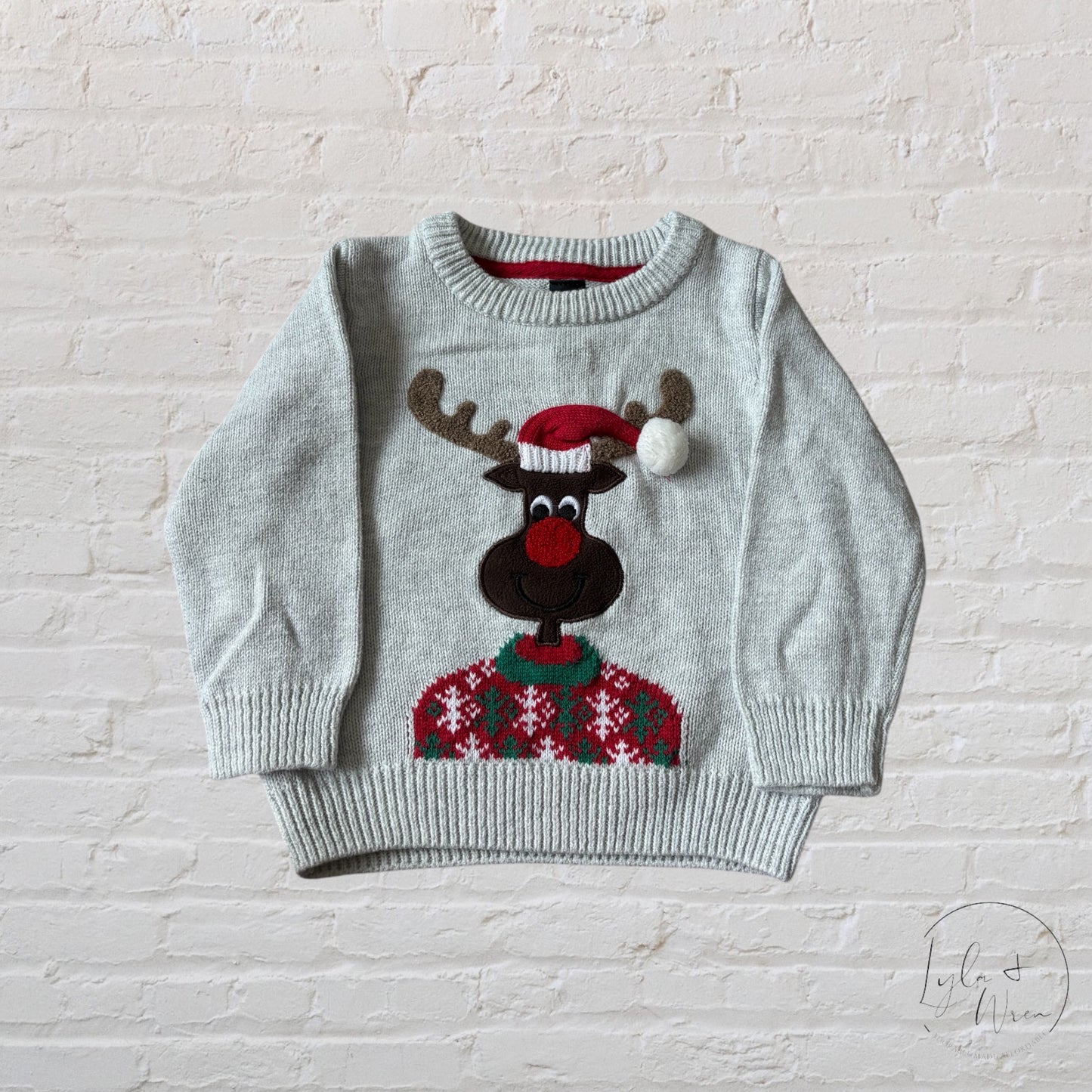 George Holiday Moose Sweater | 18-24 M