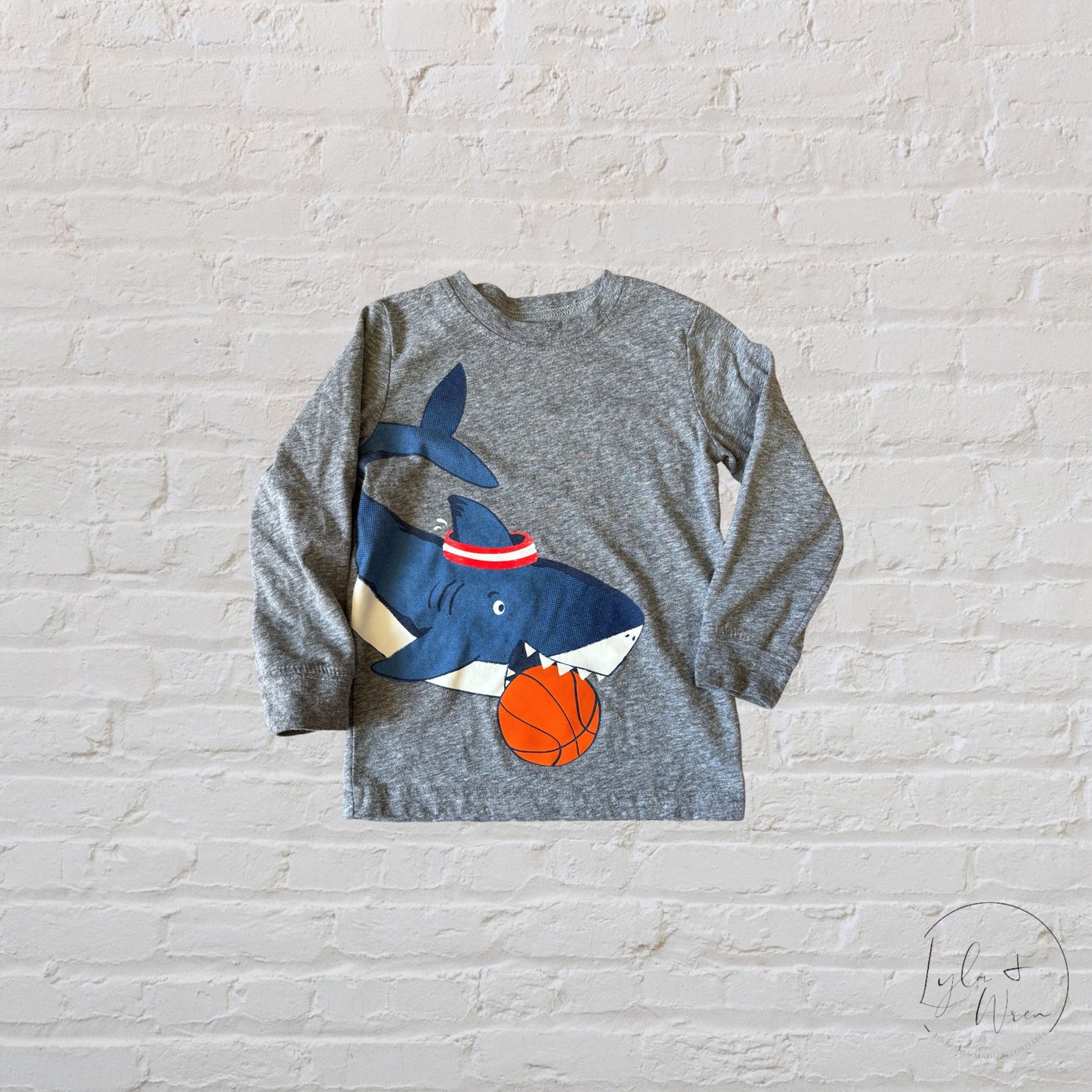 Carter’s Graphic Long Sleeve | 2T