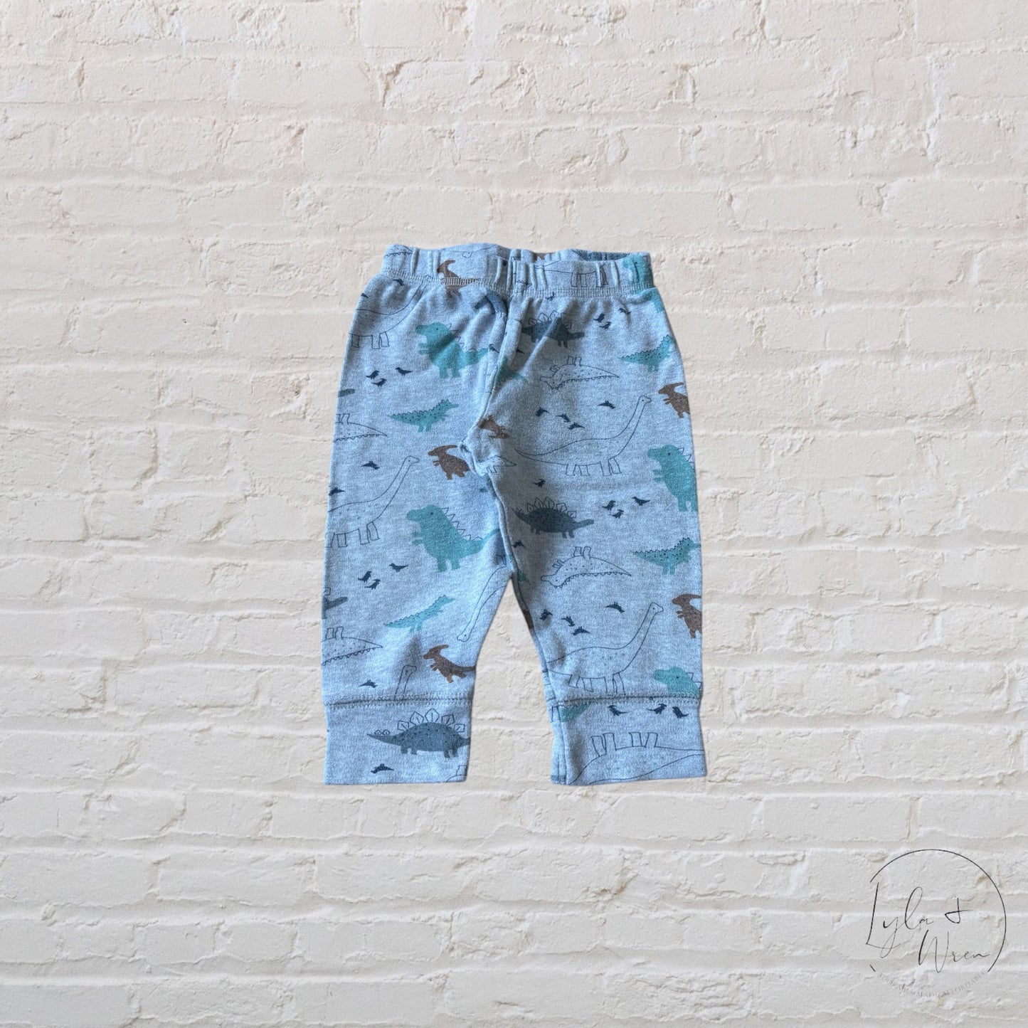 Simple Joys by Carter’s Dinosaur Print Pants | 6-9 M