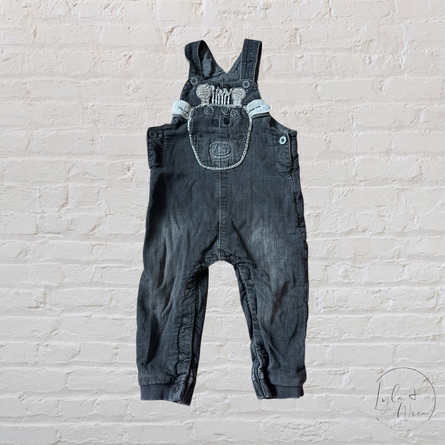 Next Double Lined Giraffe Overalls | 12-18 M