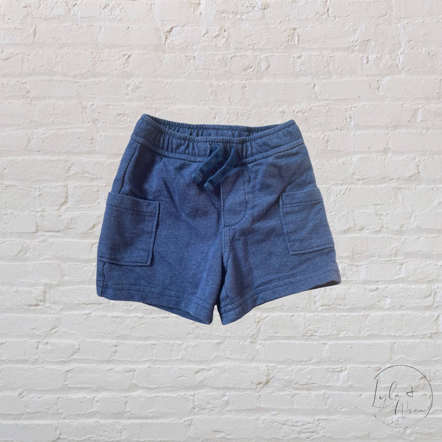 Oshkosh B'gosh Shorts | 12 M