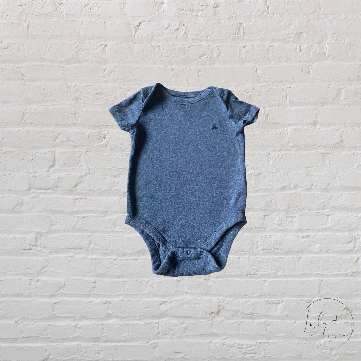 Baby Gap Bodysuits | 6-12 M