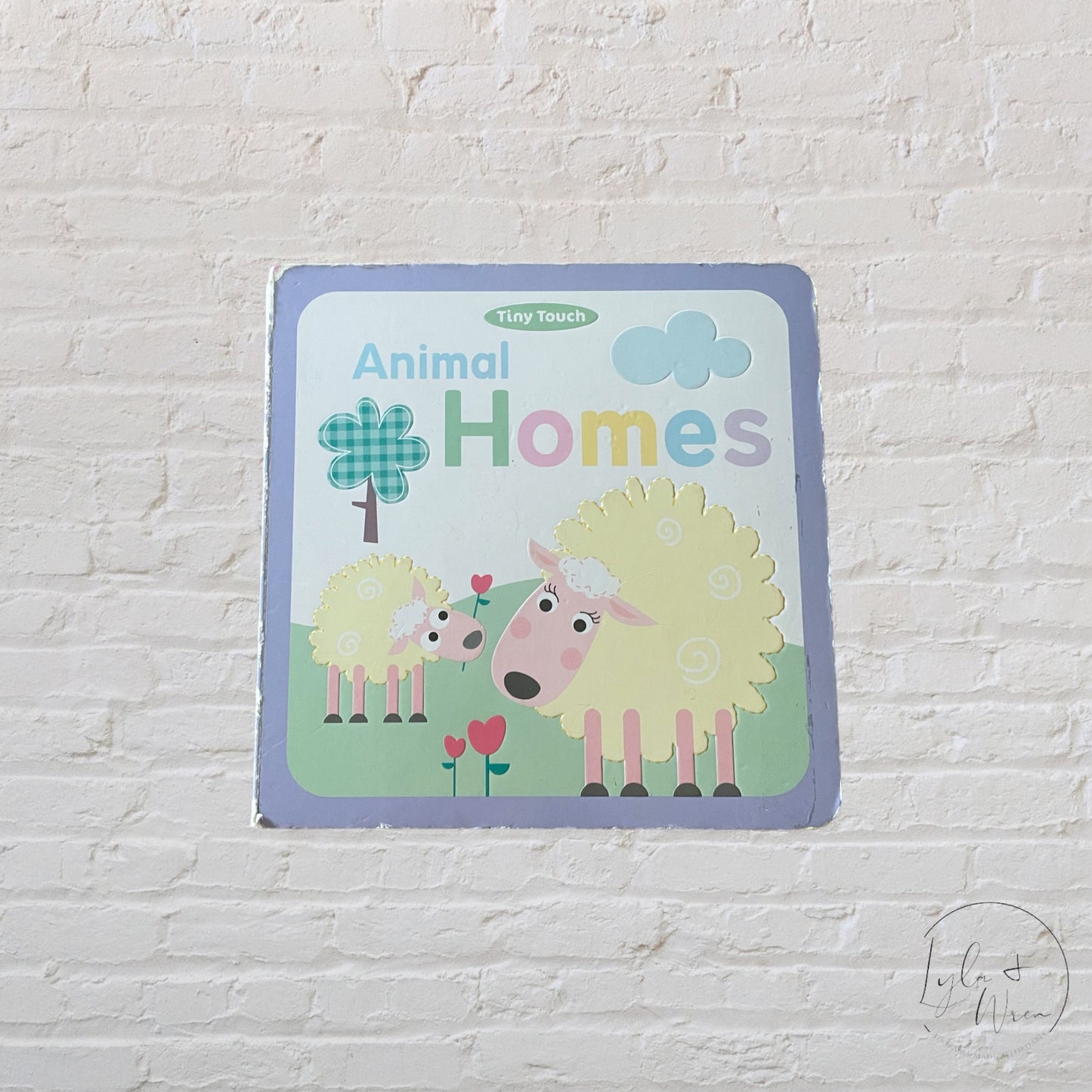 Animal Homes | Board Book