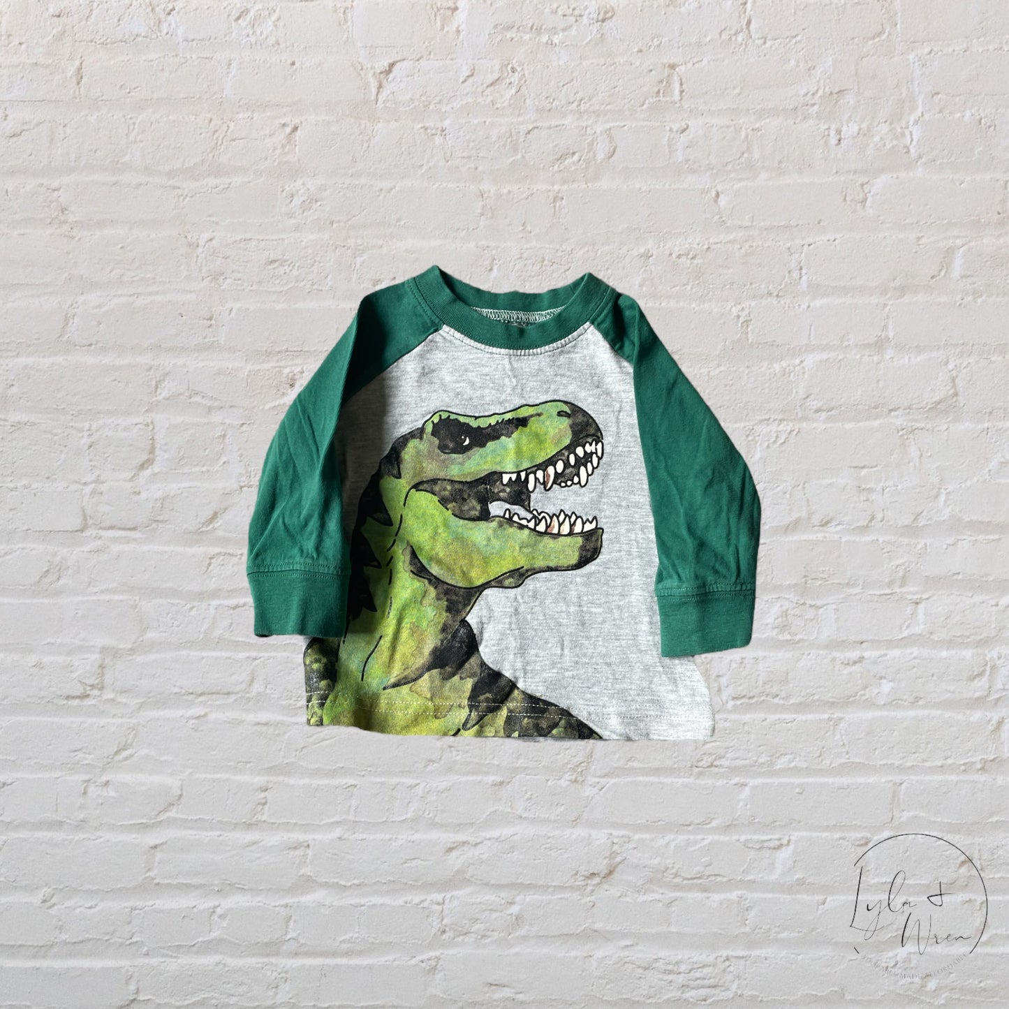 Carter’s Dinosaur Shirt | 6 M