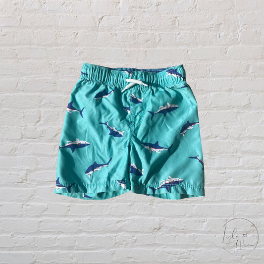 Old Navy Swim Shorts | 18-24 M