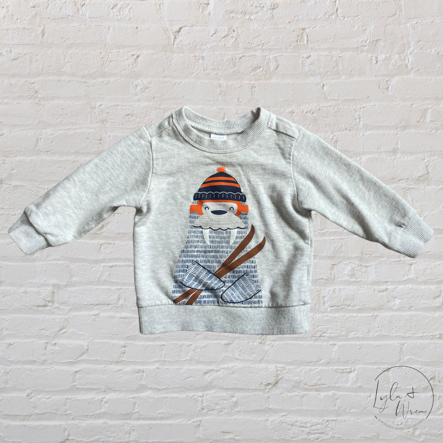 Carter’s Walrus Pullover | 12 M