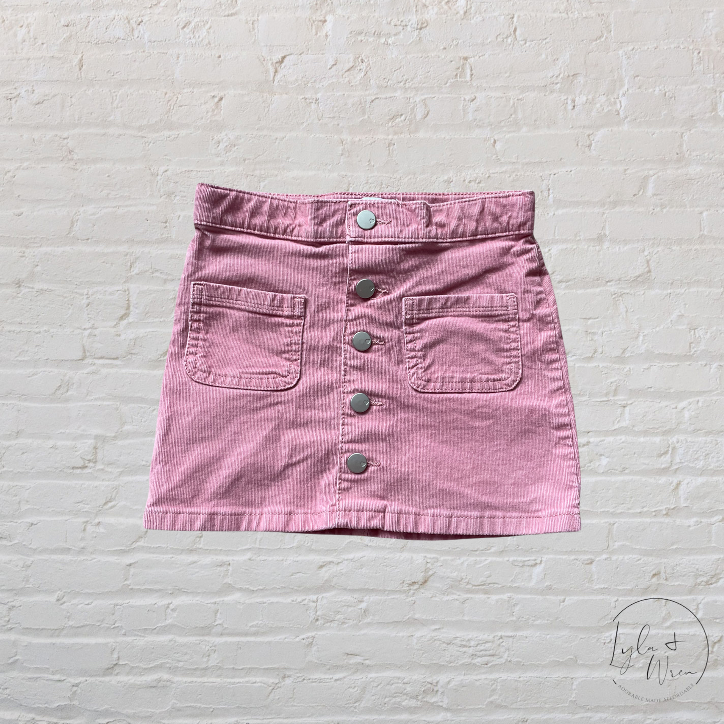 The Children’s Place Skirt | 4T