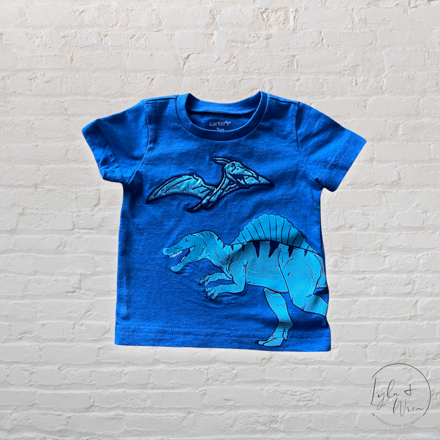 Carter’s Dino T-Shirt | 3 M