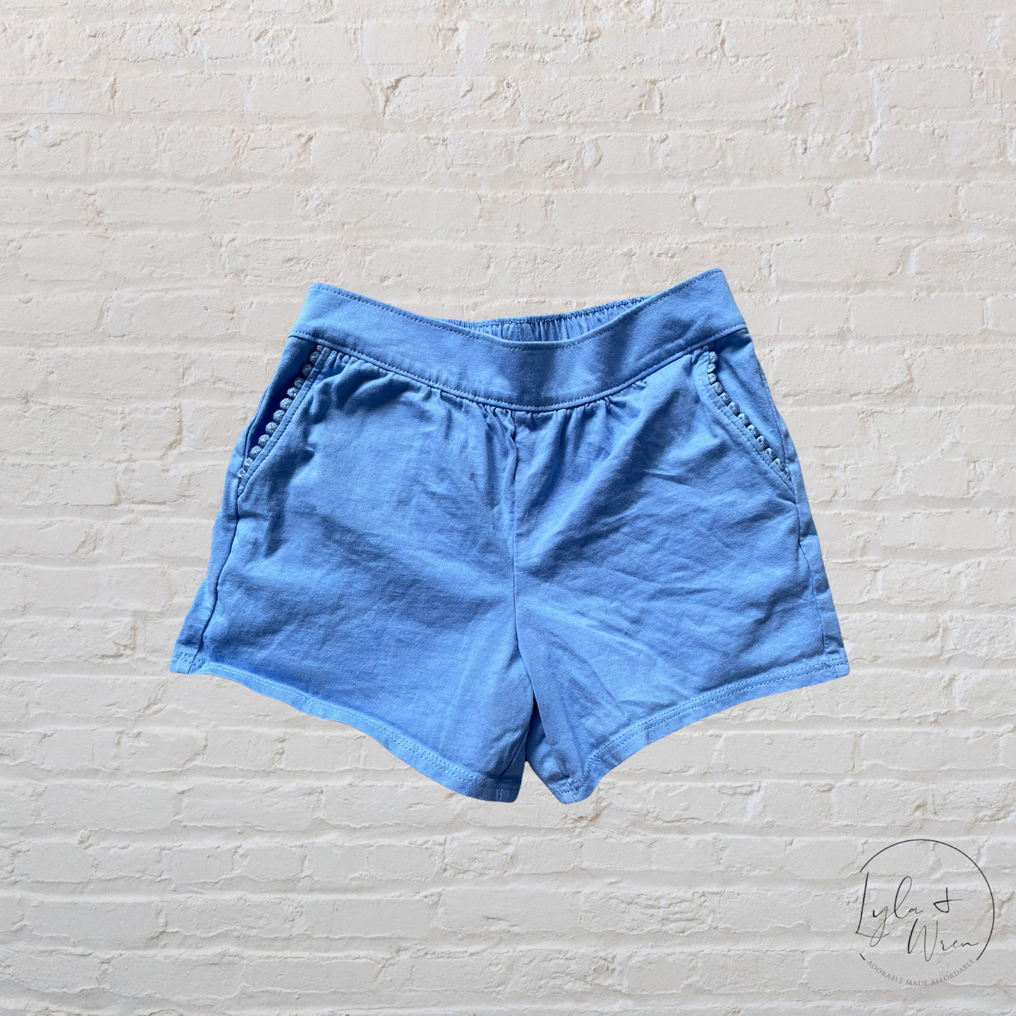 Carter’s Blue Shorts | 4T