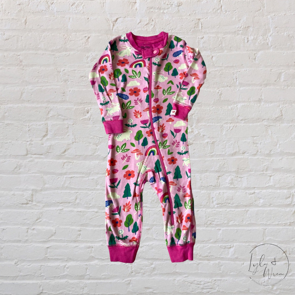 Hatley Spring Footless One Piece | 6-9 M