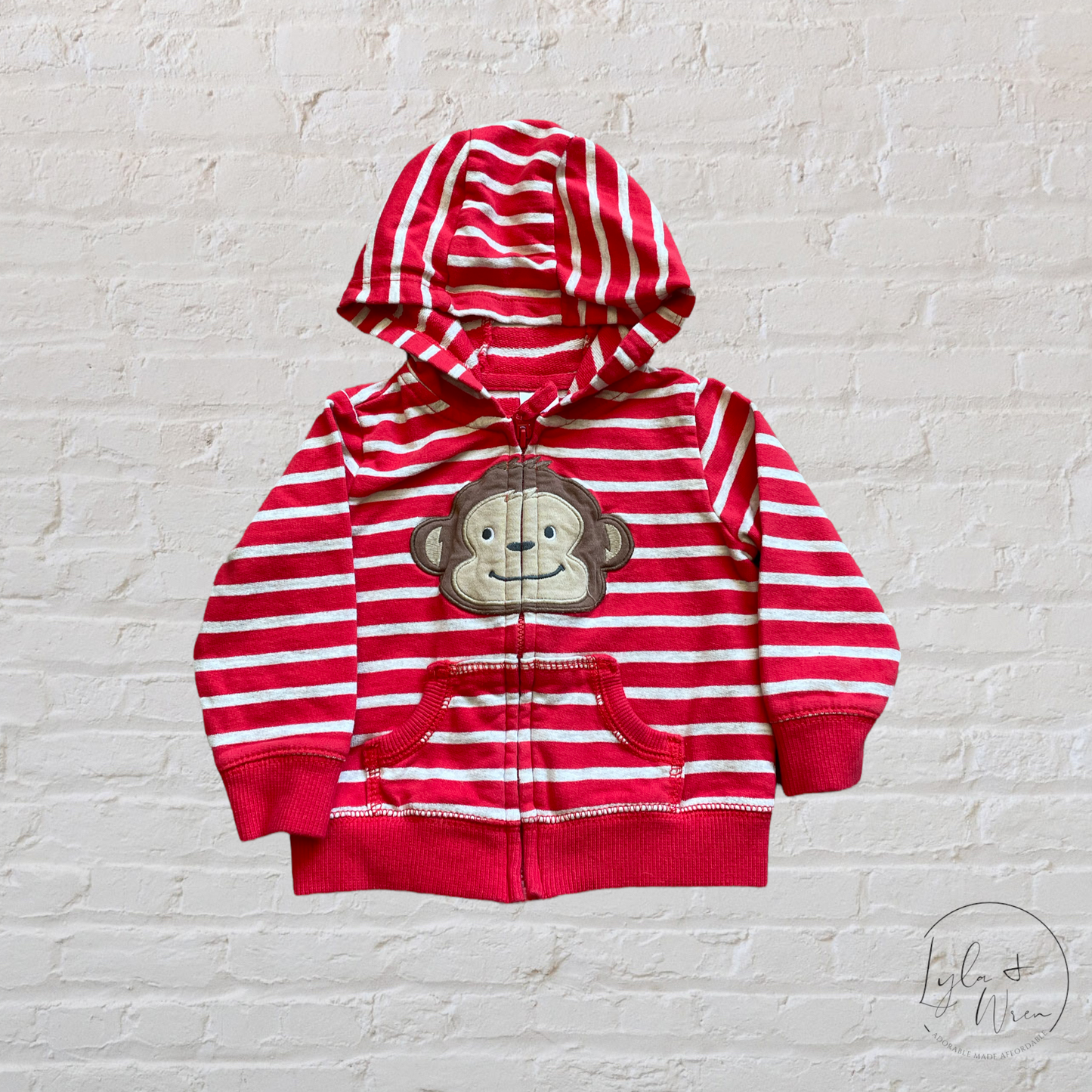 Carter’s Striped Monkey Hoodie | 9 M