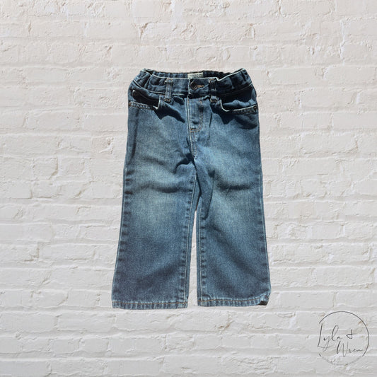 The Children’s Place Jeans | 18-24 M