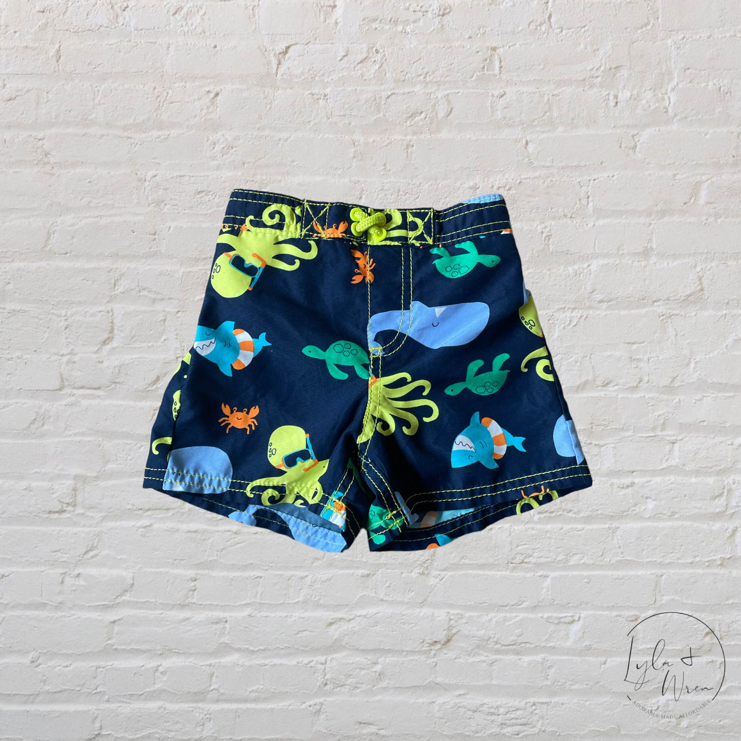 Child of Mine by Carter’s Swim Shorts | 18 M